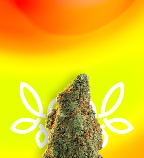 CBD