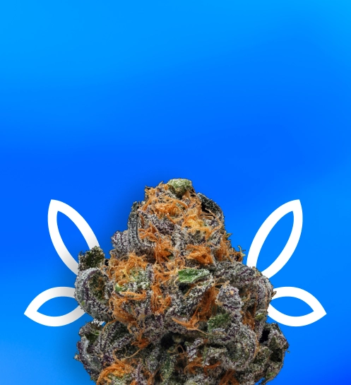HYBRID